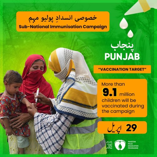 Carousel post from pakfightspolio.