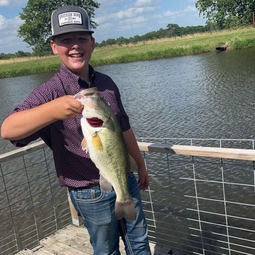 Carousel post from reddirthatco.