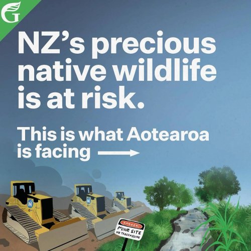 Carousel post from nzgreenparty.