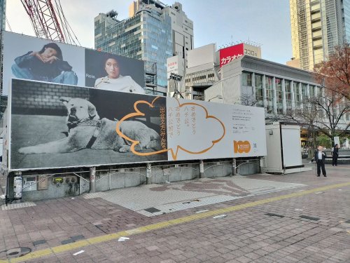 Photo post from ne_shibuya.