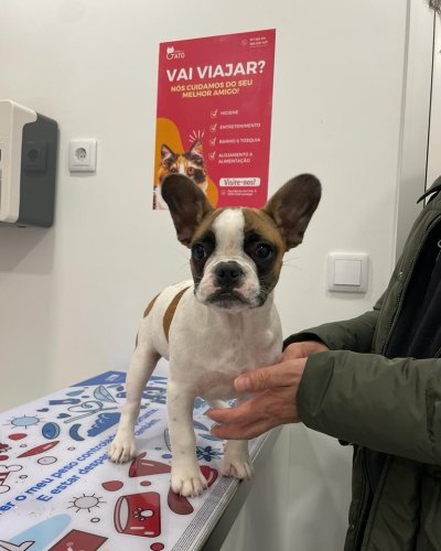 Photo post from clinica_veterinaria_dourosul.