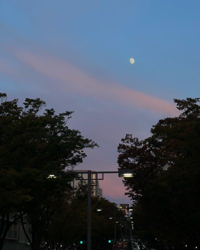 Photo post from nane.tokyo.