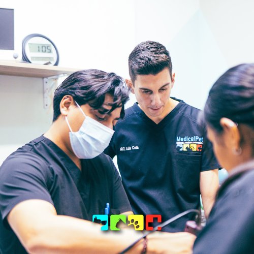 Photo post from medicalpettj.