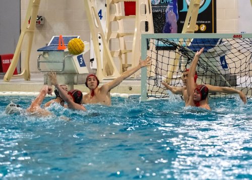 Photo post from maverickswaterpoloclub.