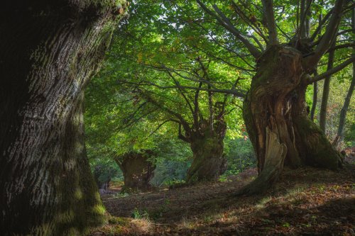 Carousel post from cantabriaturismo.