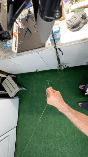 Video post from ejs_fishing_charters.