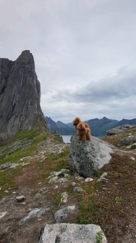 Video post from palmaleos.