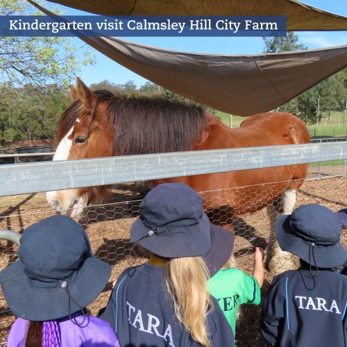 Carousel post from taraanglicanschoolforgirls.