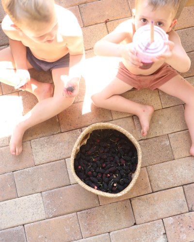 Carousel post from currumbinvalleyharvest.