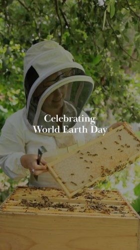 Video post from comvita_au.