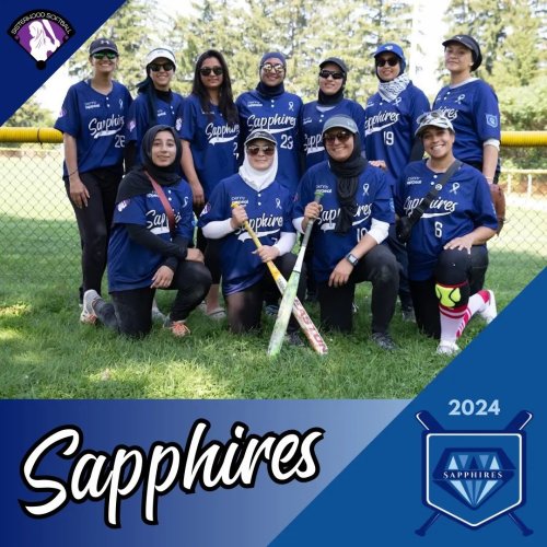 Carousel post from sisterhoodsoftball.