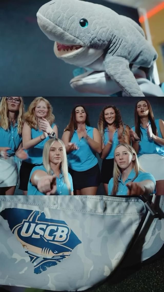 Video post from uscbsandsharks.