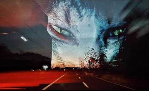 Carousel post from jakbobby.