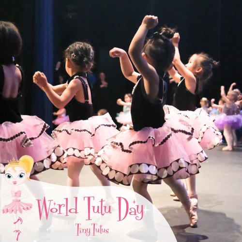 Carousel post from tinytutusballet.