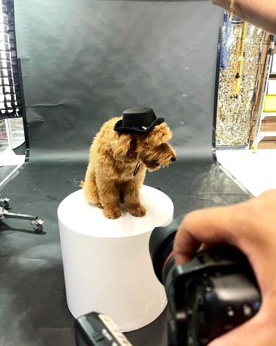 Photo post from ambishenstudio.