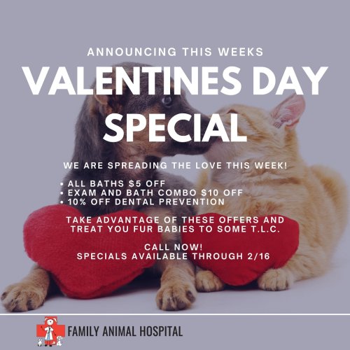 Photo post from familyanimalhospitalcm.