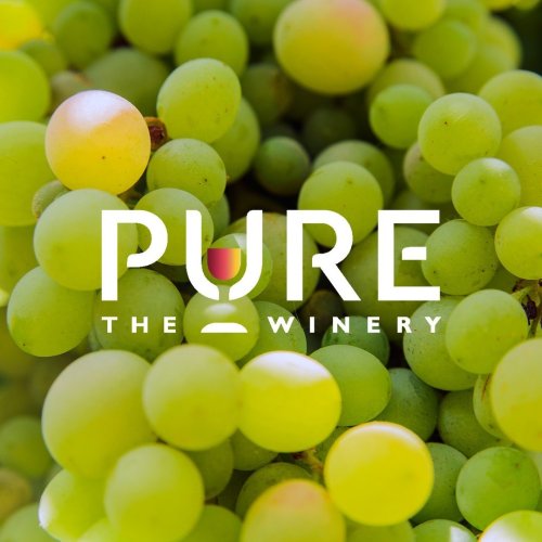 Photo post from purethewinery.