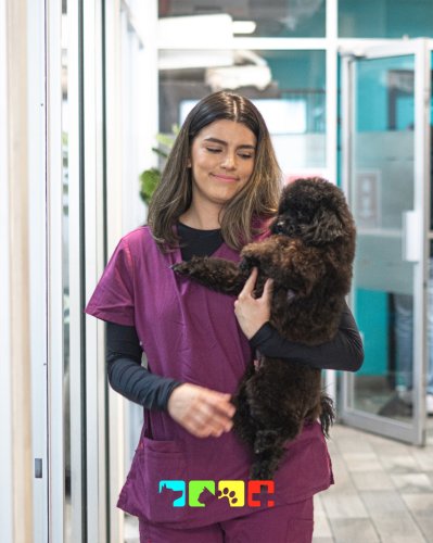 Carousel post from medicalpettj.