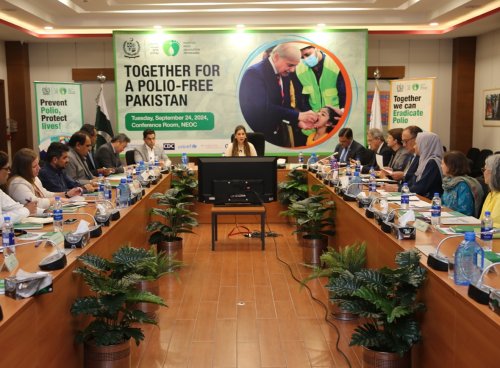 Carousel post from pakfightspolio.