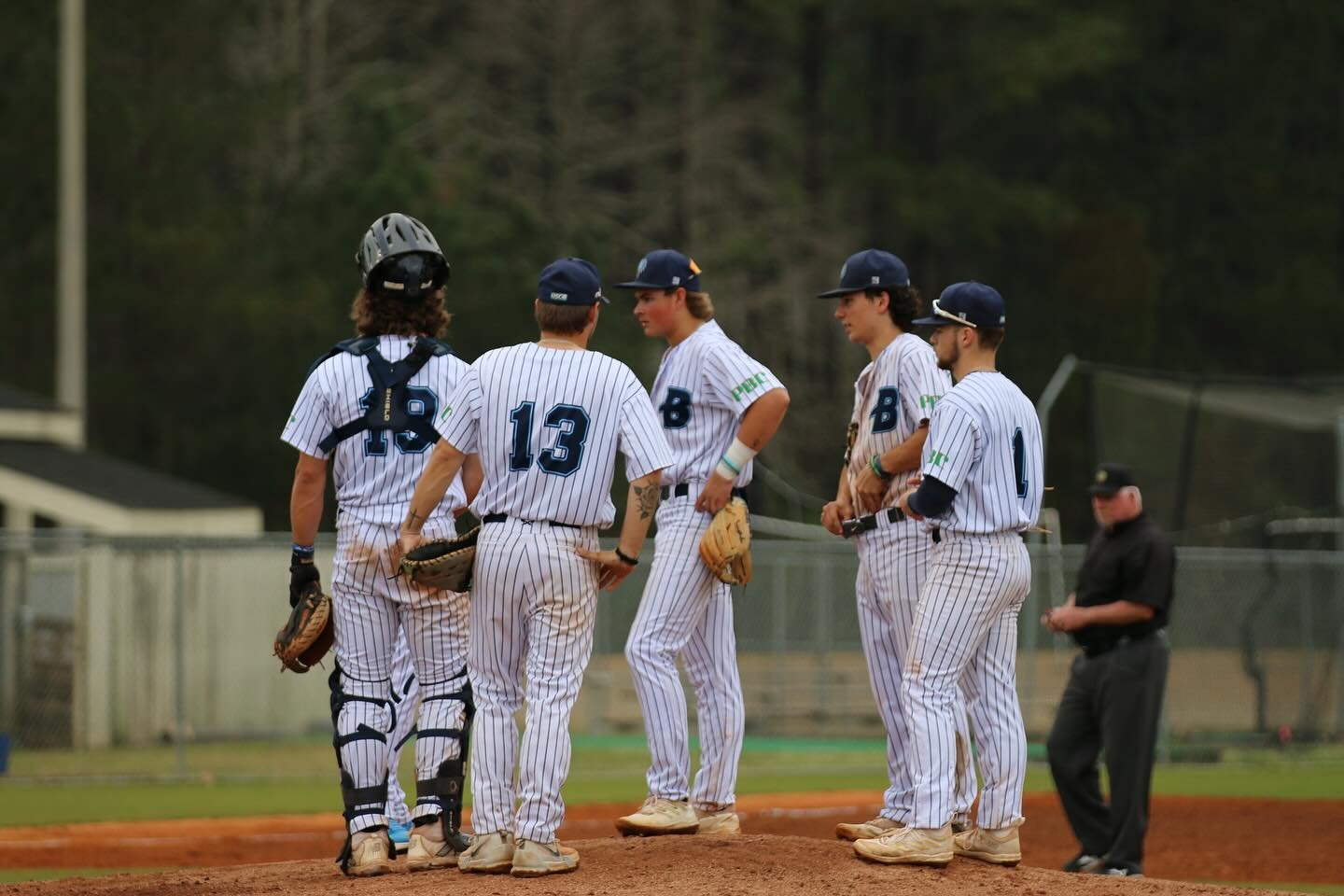 Photo post from uscbsandsharks.