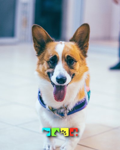 Photo post from medicalpettj.