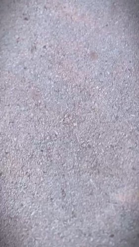 Video post from solidrockfoundation_.