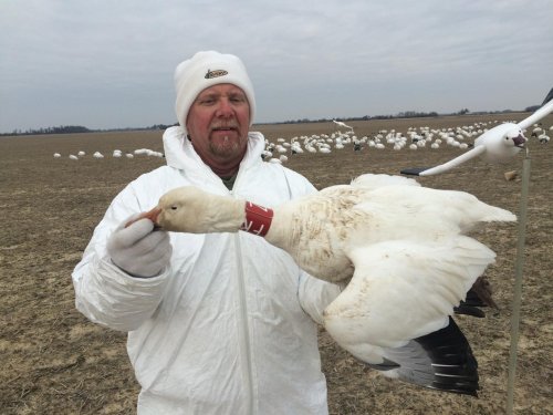 Photo post from northernskiesoutfitters.