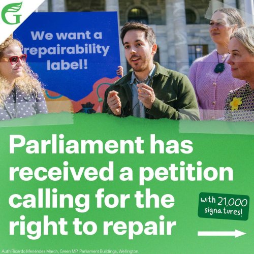Carousel post from nzgreenparty.