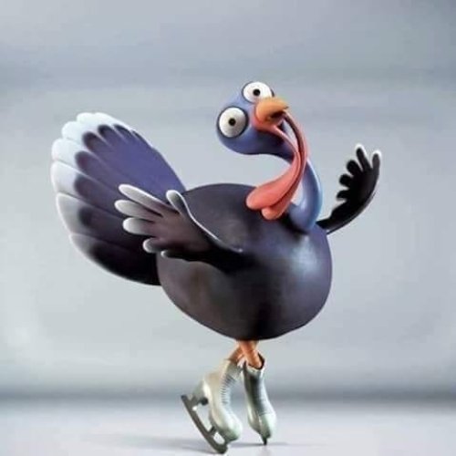 Photo post from icetheatreofny.