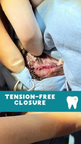 Video post from toothy.thomson.