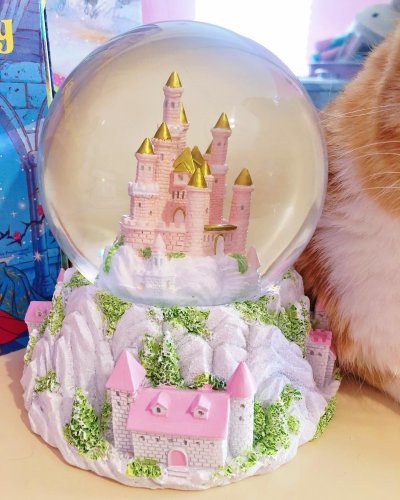 Carousel post from margaritabloom.