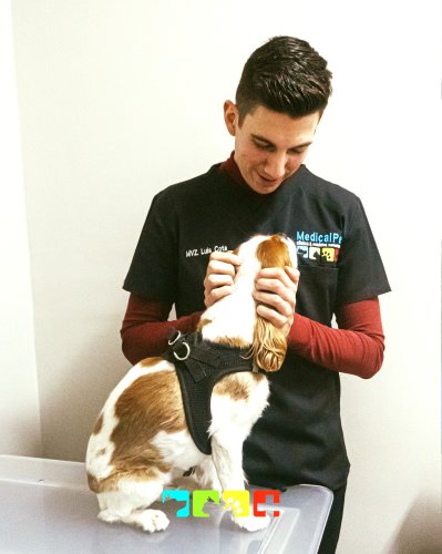 Photo post from medicalpettj.