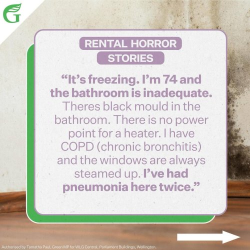 Carousel post from nzgreenparty.