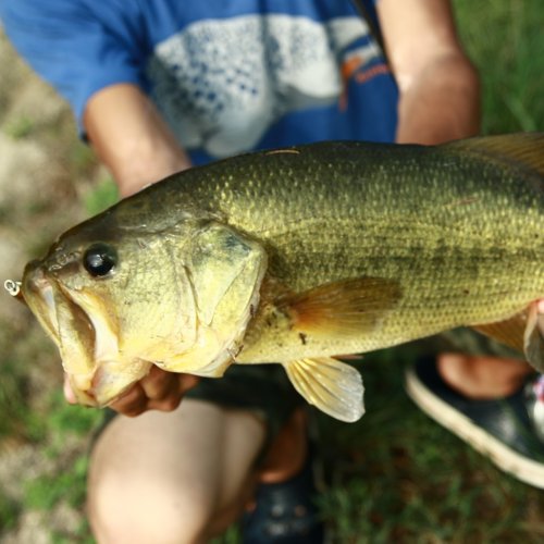 Carousel post from kamenoihotel_hikone.