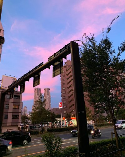 Photo post from mel104_jp.