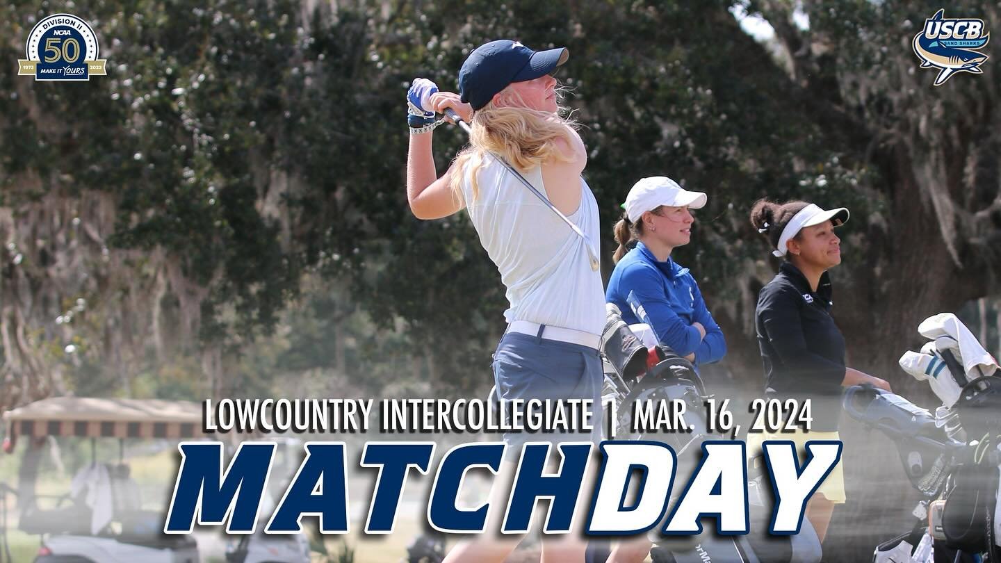 Photo post from uscbsandsharks.