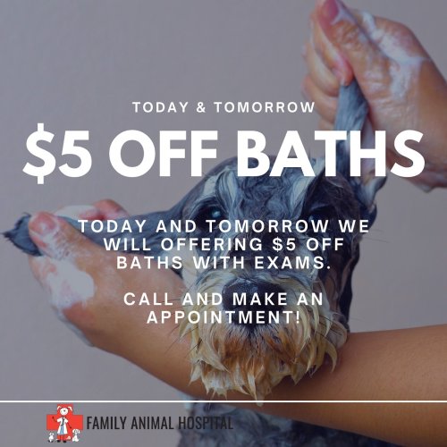 Photo post from familyanimalhospitalcm.