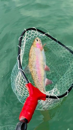 Video post from confluenceoutfitters.