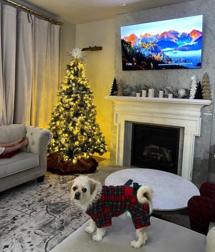 Photo post from regencyfire.