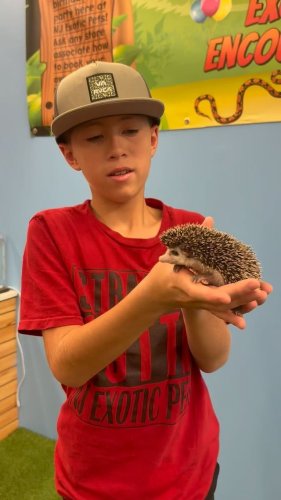 Video post from njexoticpets.