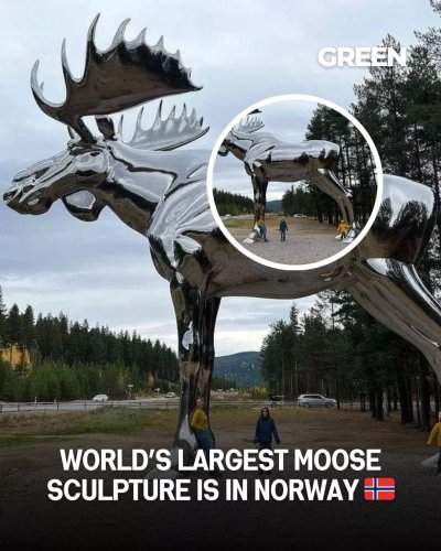 Photo post from explorgreen.