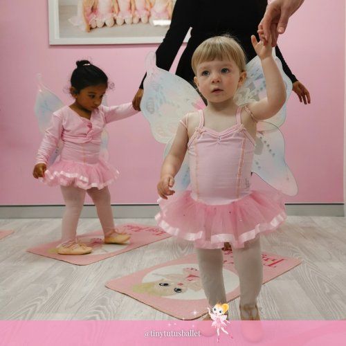 Carousel post from tinytutusballet.