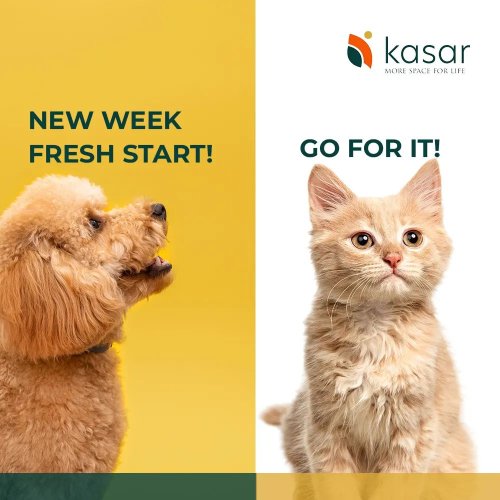 Photo post from kasarstays.