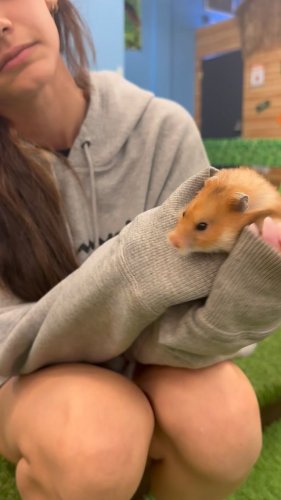 Video post from njexoticpets.