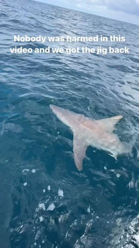 Video post from ejs_fishing_charters.