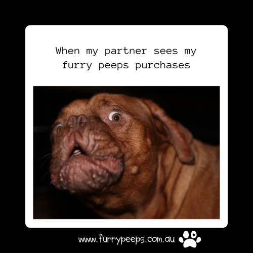 Photo post from furrypeeps.