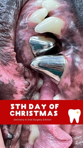 Video post from toothy.thomson.