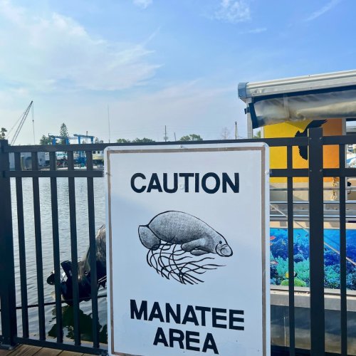 Photo post from bluewavesuites.