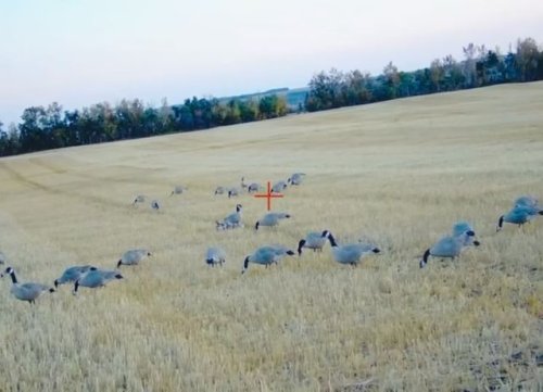 Video post from northernskiesoutfitters.