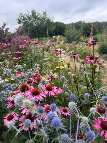 Photo post from sussexprairies.